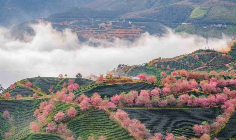 Khi hau o Sapa