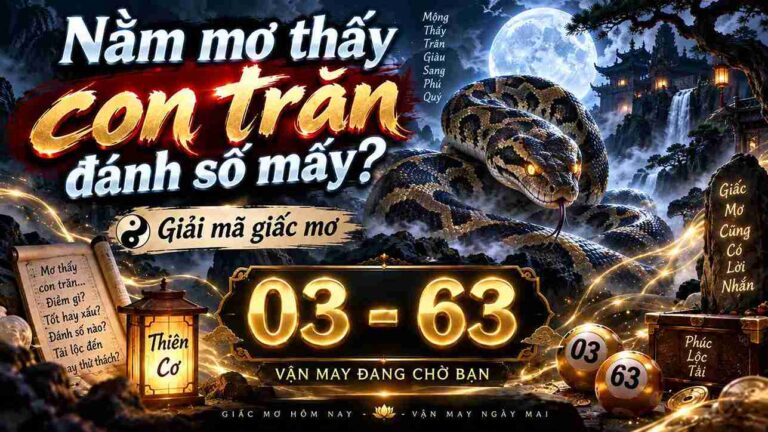 Nam mo thay con tran danh so may